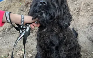 Operace očí  a veterina pro Medvídka Pú 🩷