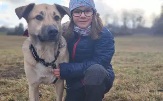 Pomozte zachránit Harryho