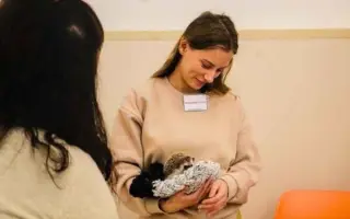 Pomozte nám uspořádat 1. Mezinárodní výstavu exotických ježků v Ústí nad Labem!
