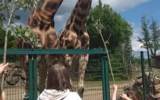 Pomozte nám udržet teplo domova pro děti z Klokánku Dolní Benešov