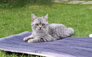Pomozte nám v boji se Simbovou vzácnou nemocí, pomozte Simbovi chodit.