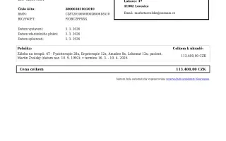 Neurorehabilitace pro Martina