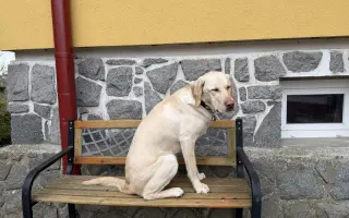 Pomohli jste Pavlovi a Quentymu