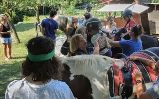 Nový kůň do hiporehabilitačního týmu