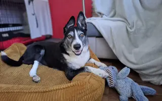 Život bez bolesti pro Mildu