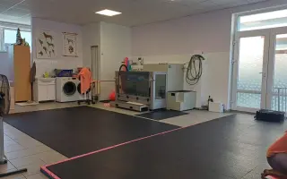 Mladou fenku srazil vlak, pomožme jí k pohybu rehabilitací.