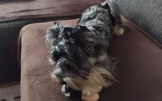 Pomozte Matýskovi zjistit příčinu záchvatu