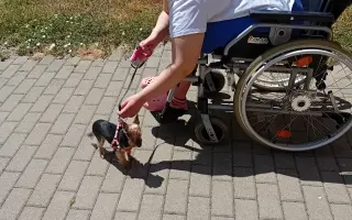 Tanec vystřídal vozík - pomozme získat léčbu
