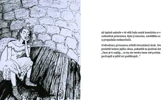 Princezna a slunce svit - vydej s námi knihu o uzdravování z toxických vztahů.