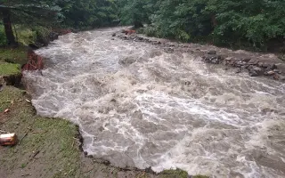 Přispějte na vznik unikátního apidomku v Jeseníkách