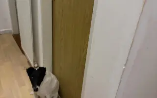 Pomozte zachránit Berrynku