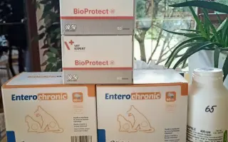 Pomohli jste Kukimu a jeho paničce nadále bojovat