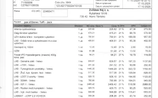 POMOC PRO FOXÍČKA - ZDRAVÝ DECH A PROTÉZA