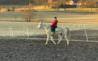 Dobročinná sbírka pro Ostrov Naděje