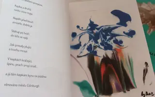 Pomozme handicapované umělkyni