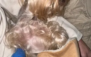 Pomozme Welle po nálezech rakoviny vidět, Daře k pohybu a Willymu ke zdraví