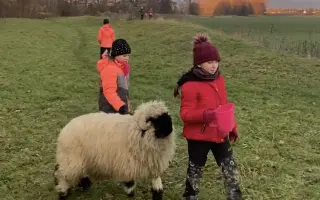 Pomozte beránkovi Knedlíčkovi opět běhat s dětmi.🤍