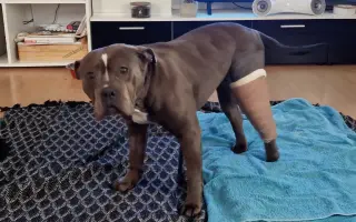 Pomozme Ele opět poznávat svět