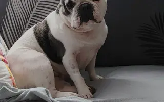 Zachráňte Marilyn bojující s rakovinou