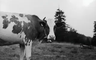 Z nuly zpět za hledáček - aneb nový začátek po velkém pádu