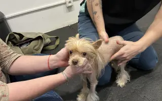 Prosím o pomoc pro našeho Huberta