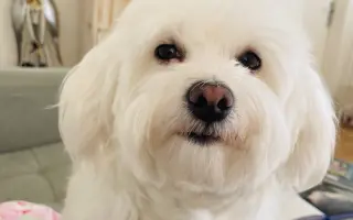 Šance na klidnější život pro Katku