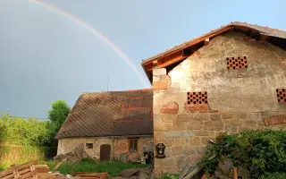 Z ruiny domovem: útočiště pro opuštěné kočky