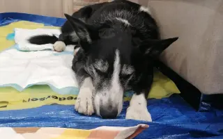 Život bez bolesti pro Mildu