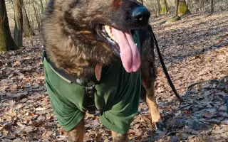 Léčba, která nekončí - Fůrie