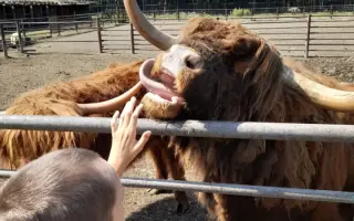 Lehký vozík pro syna Ondřeje, abychom  mohli zůstat v pohybu.