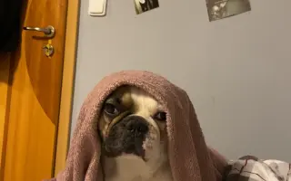 Pomozte nám zvládnout nečekanou operaci❤️‍🩹