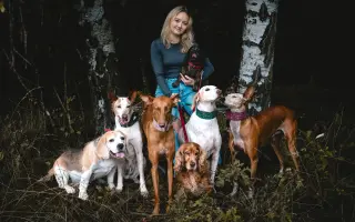 Podpořte péči o pejsky v psím hospici Andělská náruč, z.s.