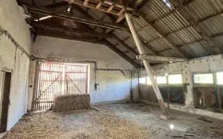 Pomozte nám vybudovat Centrum pomoci zvířatům QUEEN