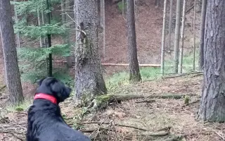 Prosím pomozte mě překlenout nelehké životní období