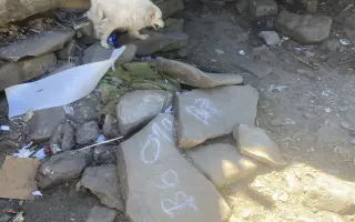 Záchrana pro psy ze slovenských osad 🩷