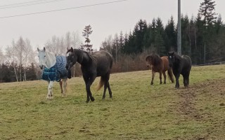 Za Meringu, pro útuláčky