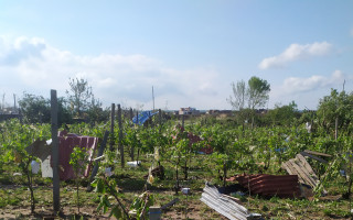 Obnova sadu v Mikulčicích, který zničilo tornádo