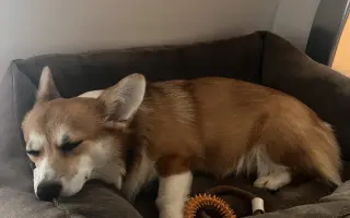 Pohyb pro malou Nami