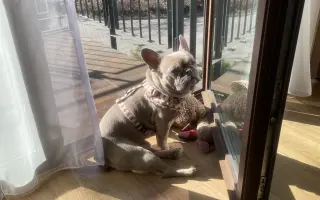 Archie bojuje. A my s ním ♥️