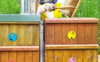 Přispějte na vznik unikátního apidomku v Jeseníkách