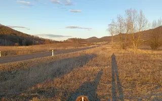 Beethoven, kamarád do deště - pomoc pro mladou bernardýnku