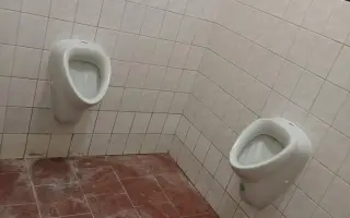 Pojďme dát kočičkám druhou šanci, obnovme kočičí kavárnu café & bar Šťastné tlapky