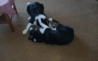 Pomohli jste Áje znovu spatřit svět