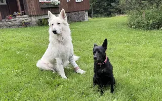 Pomozte Ullymu zase skákat přes kaluže! 🐾