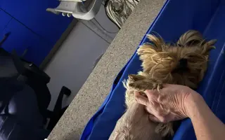Pomozme Welle po nálezech rakoviny vidět, Daře k pohybu a Willymu ke zdraví