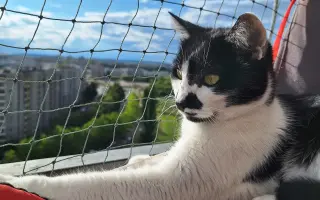 8 nalezených Lásek