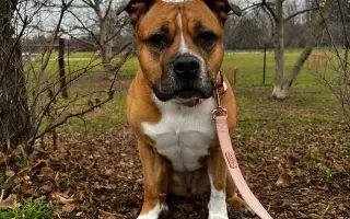 ...aby se Roxy mohla postavit bezbolestně na nohy