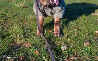 Pomoc Furině v boji s lupusem (SLE)