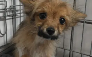 Lepší život pro Katie