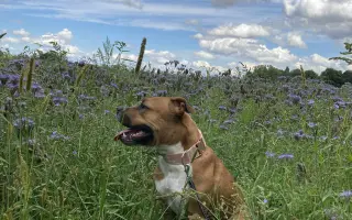 ...aby se Roxy mohla postavit bezbolestně na nohy